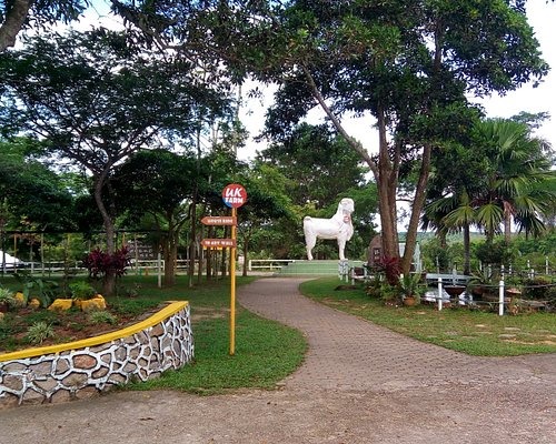 Fun Tour Kluang (2 Pax To Go)