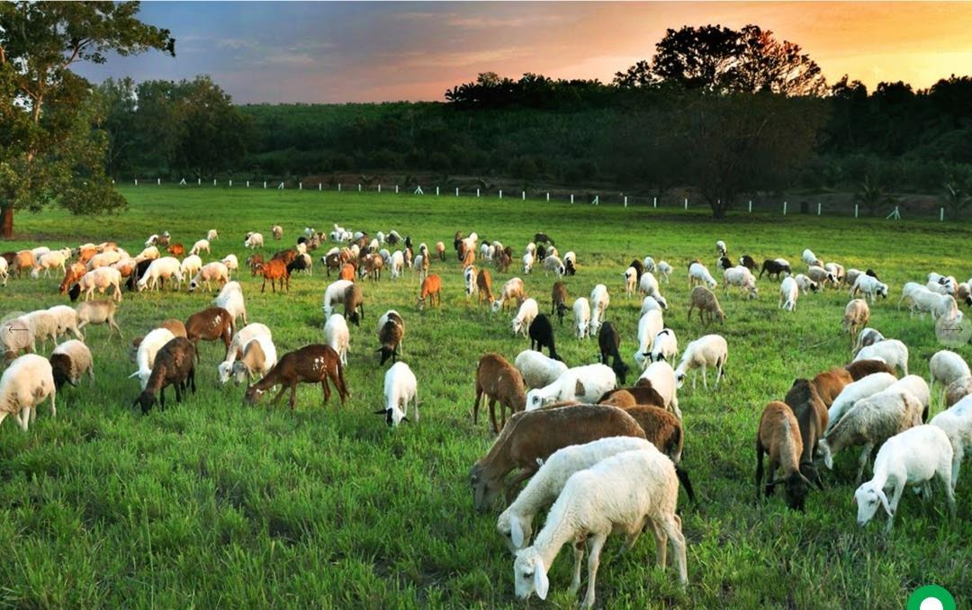 Fun Tour Kluang (2 Pax To Go)